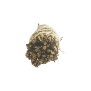 Hierba Santa Blanca (9 pulgadas)