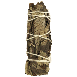 Hierba Santa Negra (4 pulgadas)