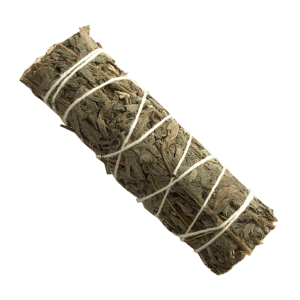 Albahaca Limón (4 pulgadas)