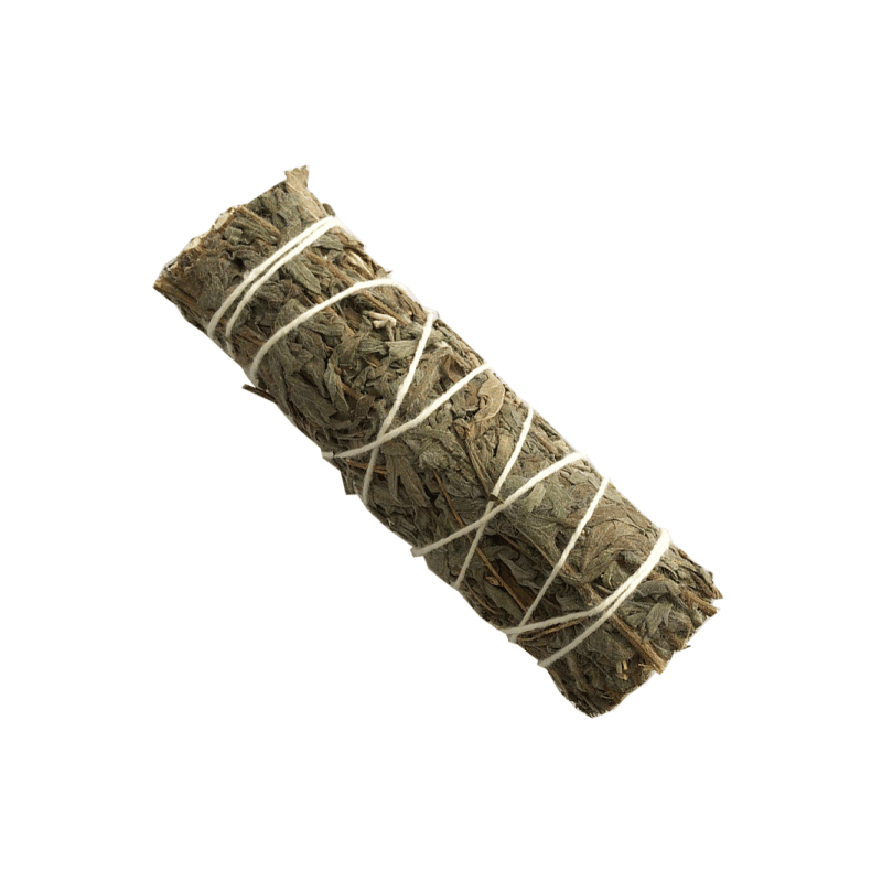 Albahaca Limón (4 pulgadas) Albahaca Limón (4 pulgadas)