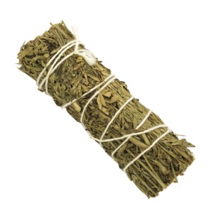 Artemisia (4 pulgadas)