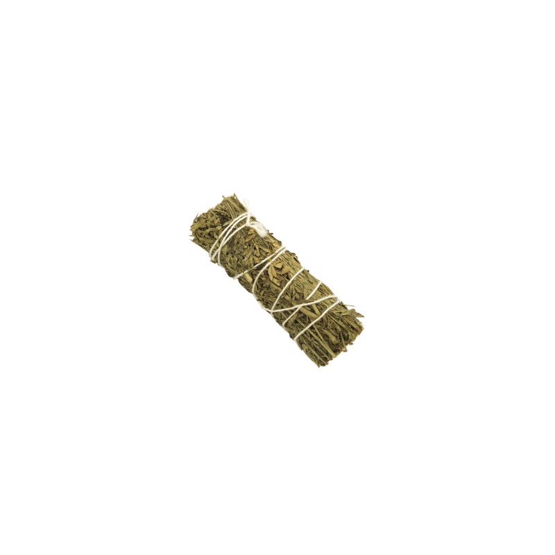 Artemisia (4 pulgadas)