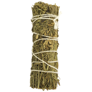 Artemisia (4 pulgadas)