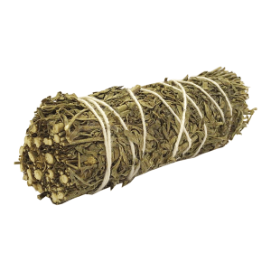 Artemisia (4 pulgadas)