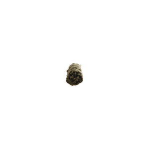 Eucalipto (4 pulgadas)