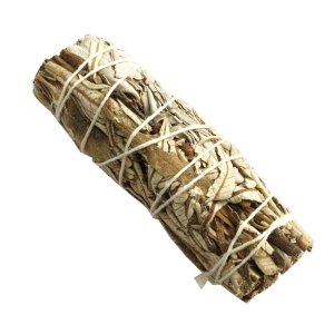 Hierba Santa (4 pulgadas)