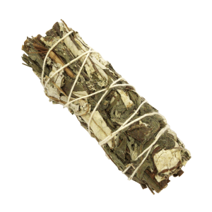 Hierba Santa + Artemisia (4 pulgadas)