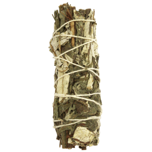 Hierba Santa + Artemisia (4 pulgadas)