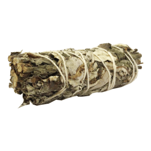 Hierba Santa + Artemisia (4 pulgadas)